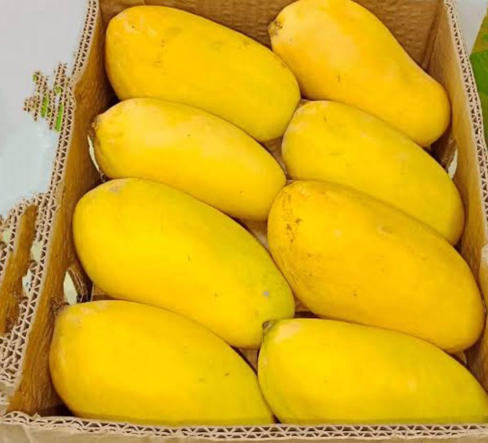 Fresh Fruits & Vegetables